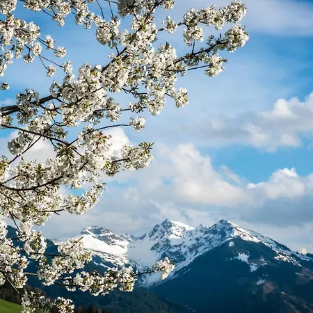 Reith Lejlighed Kitzbühel