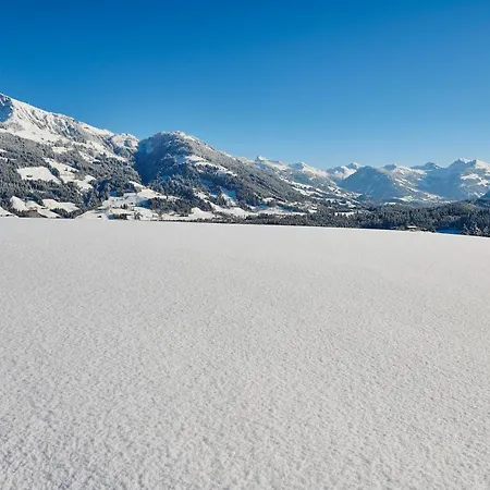 Reith * קיצביהל