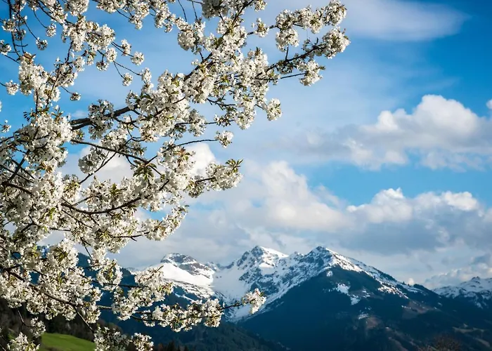 Reith 公寓 基茨比厄尔